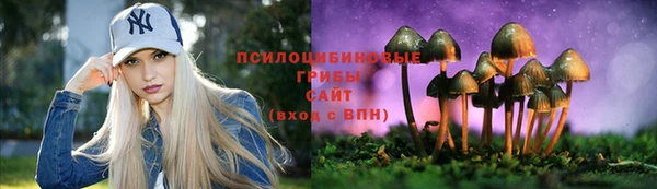 PSILOCYBIN Навашино