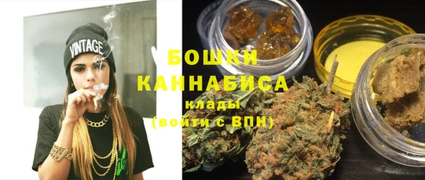 шишки Михайловск