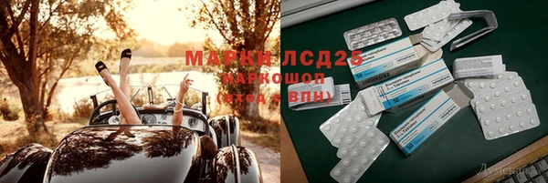 PSILOCYBIN Навашино