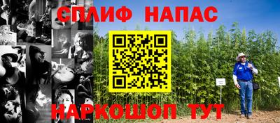 дживик Балахна