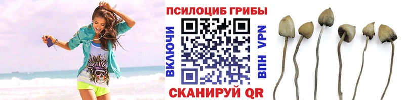 цена наркотик ОМГ ОМГ как зайти Псилоцибиновые грибы GOLDEN TEACHER Новоуральск